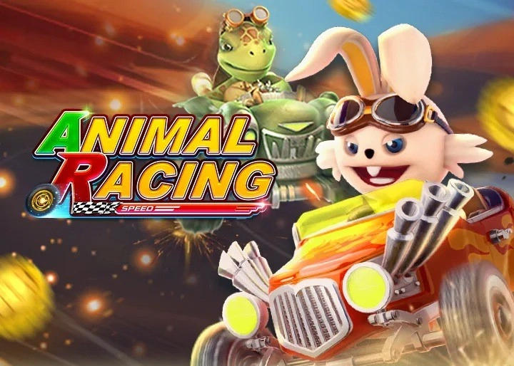 Animal Racing